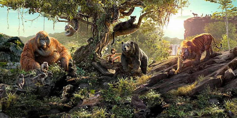 lelivredelajungle-tierr