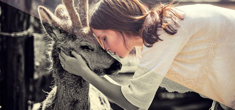 design,création,dessin,artiste,communication,identité,visuelle,art,Webdesign,site,pas chère